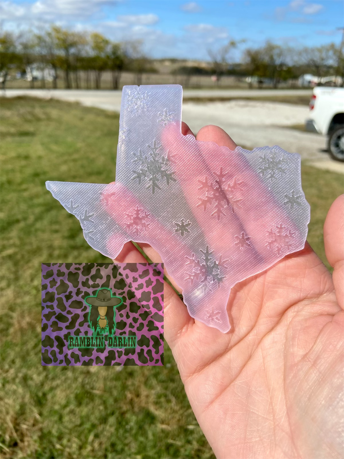 Plain Texas Insert Mold