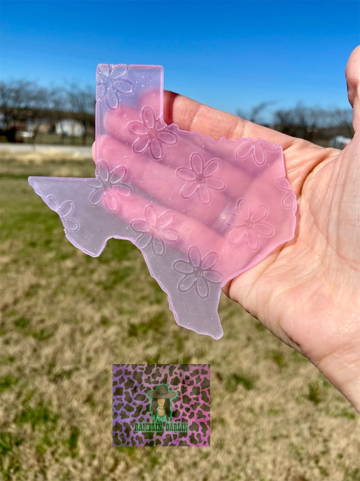 Plain Texas Insert Mold