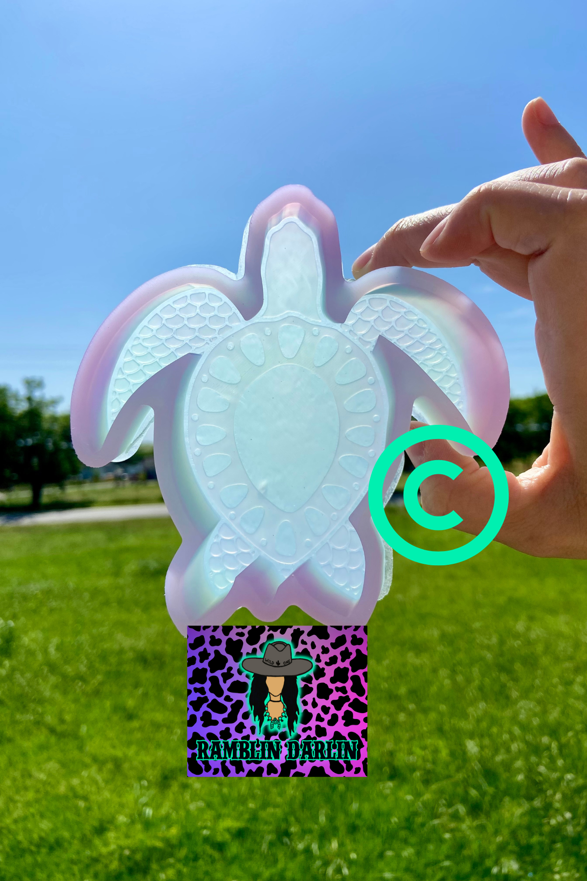 Squash Turtle Mold ©️