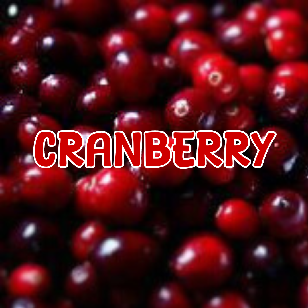 Cranberry Scented Beads 8 ounces