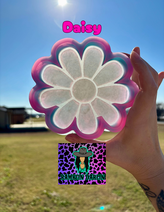 Daisy Mold