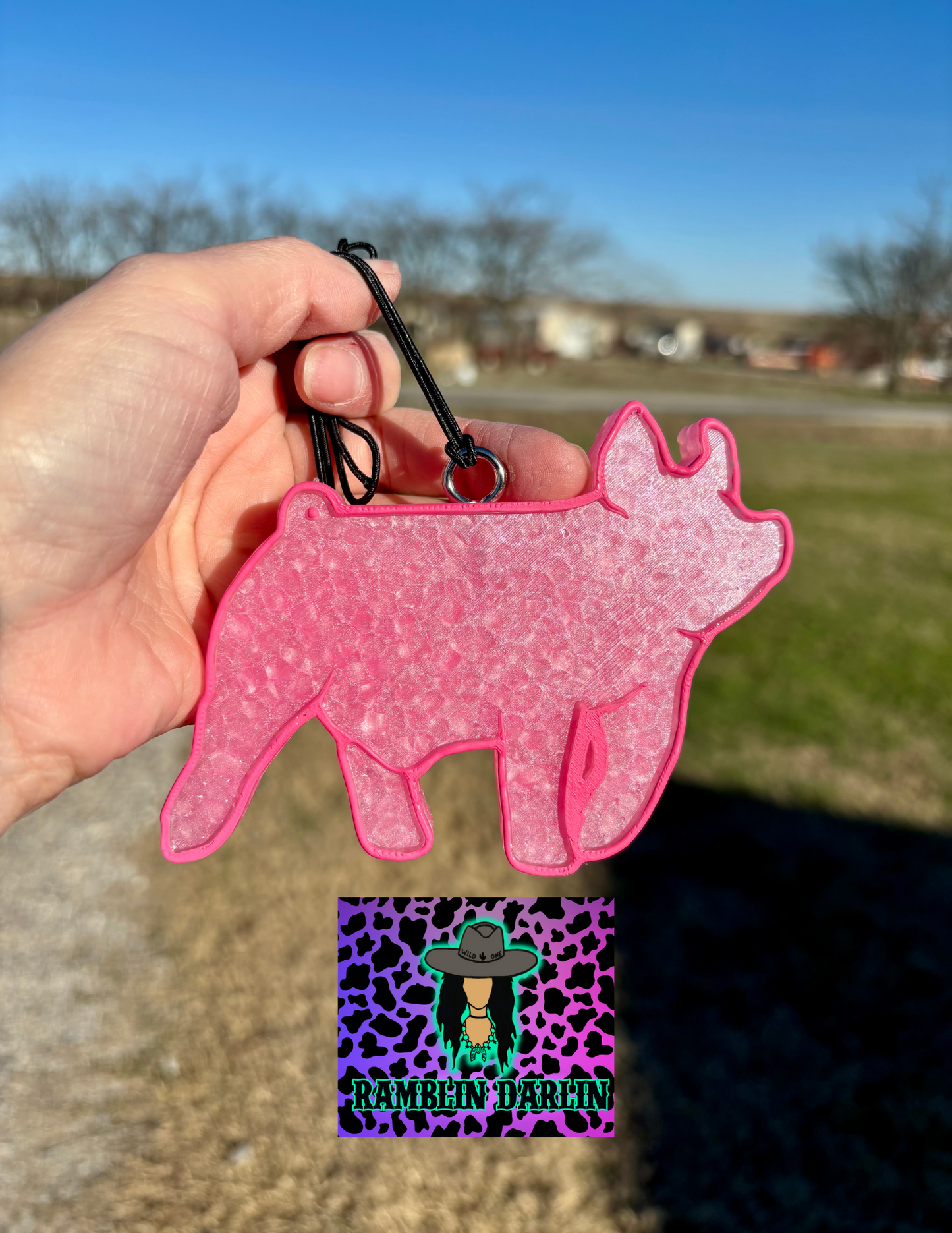 Show Pig Mold