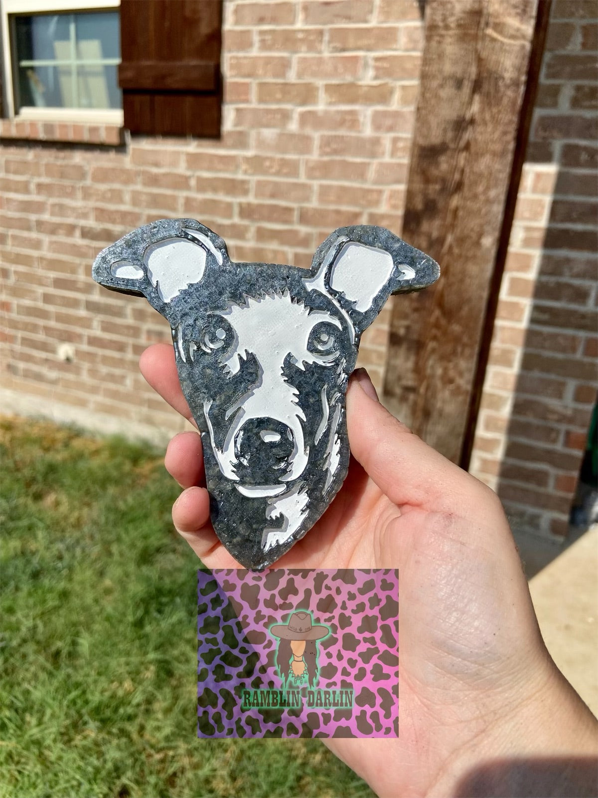 Greyhound Mold