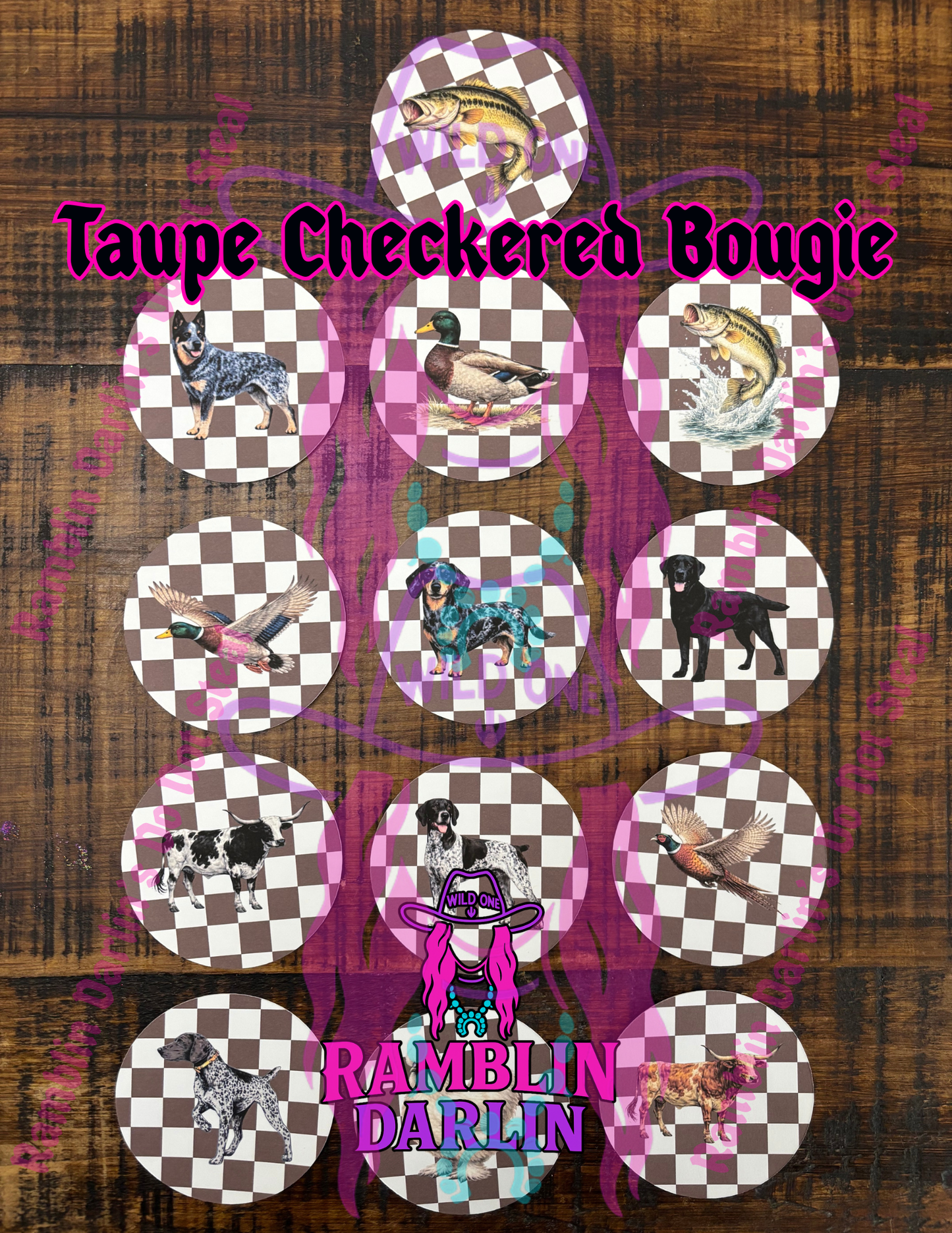 Round/Circle Cardstock Random (10pk)
