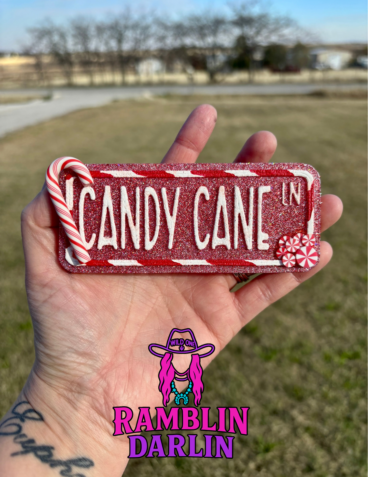 Street Sign Insert Mold