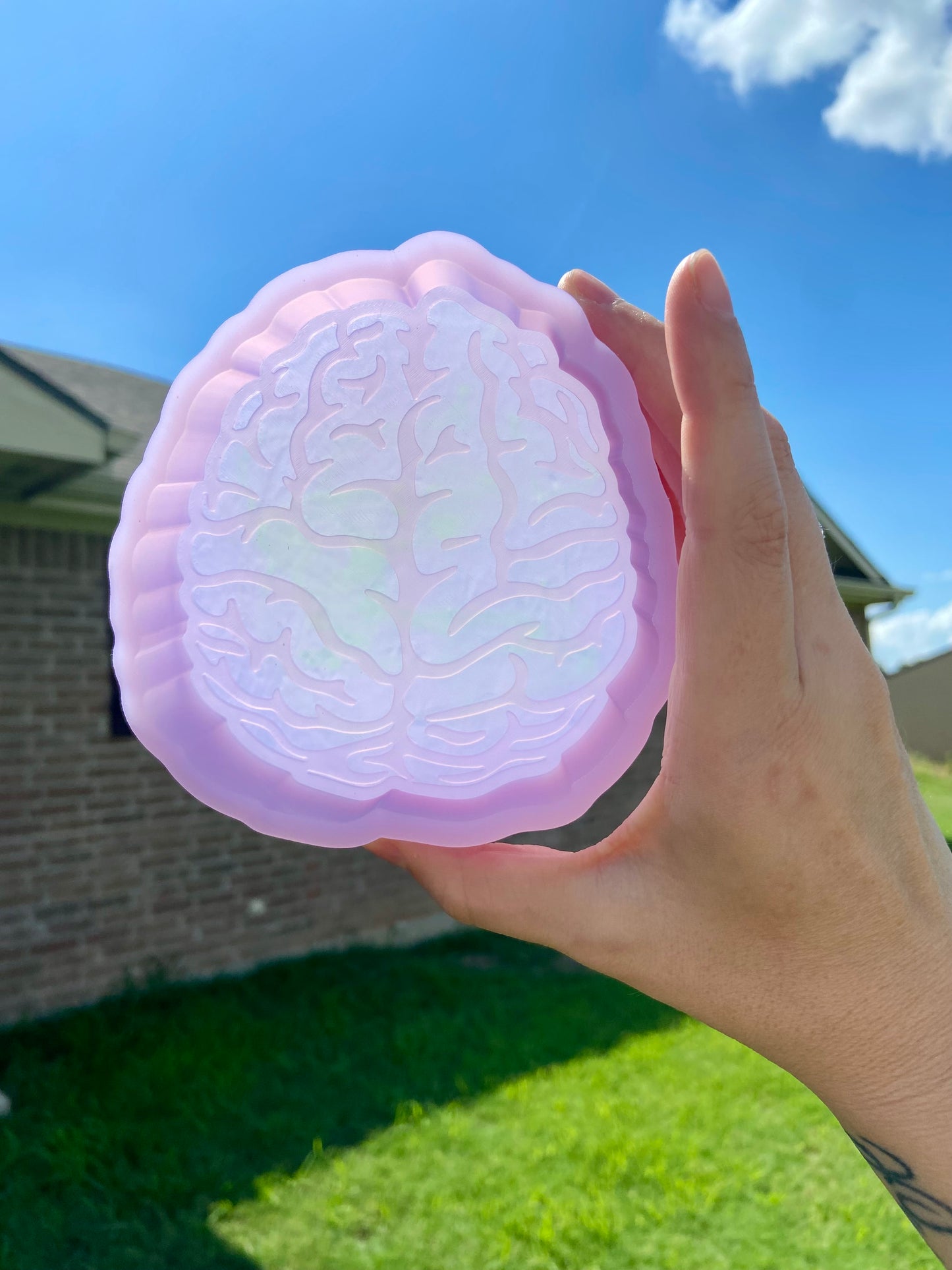 Brain Mold