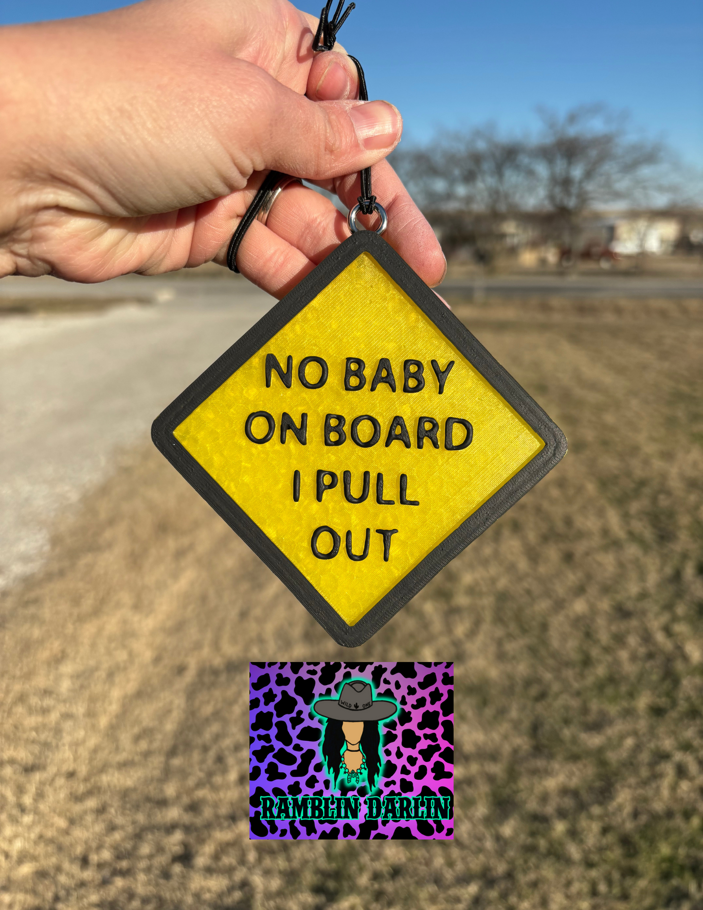 No Baby on Board Mold