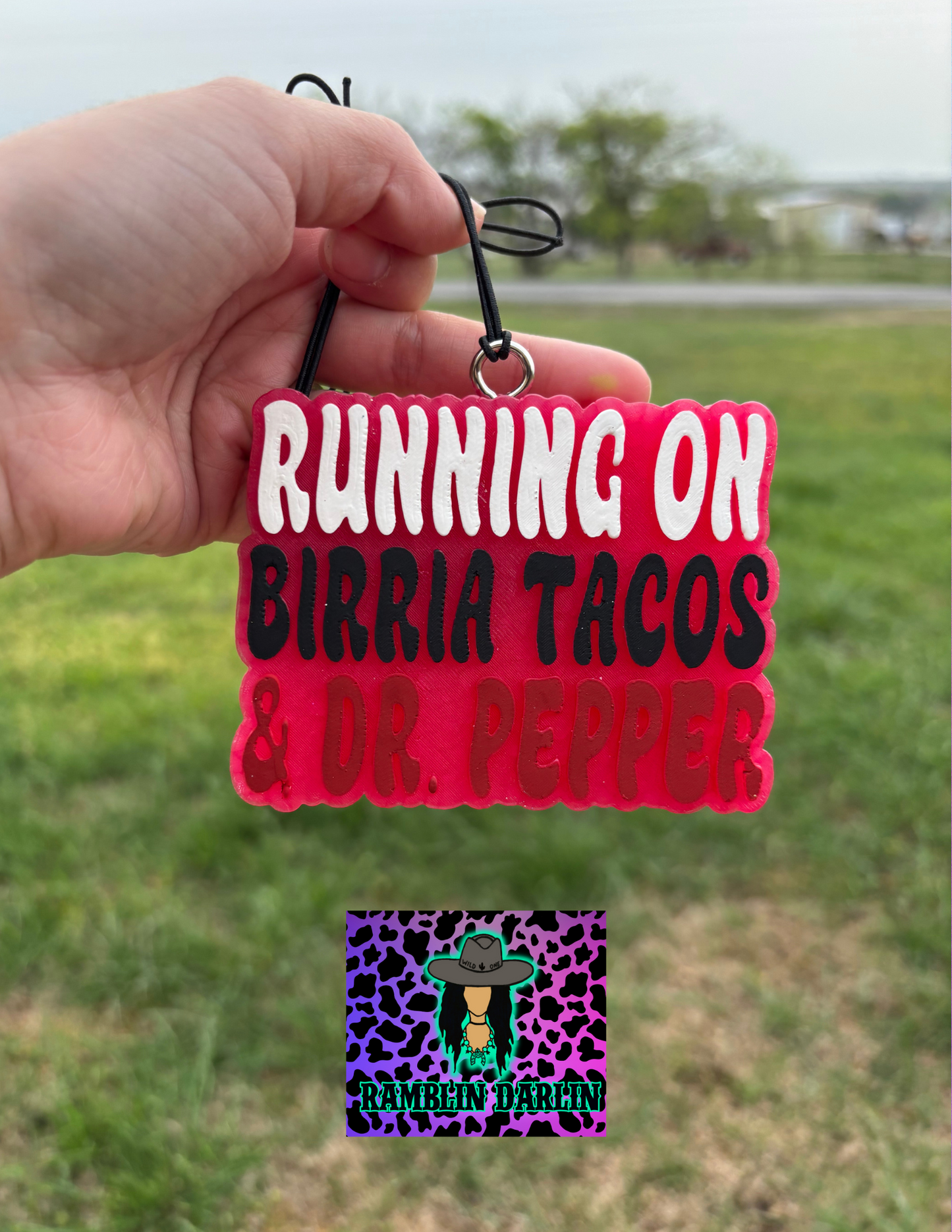 Running on Birria Tacos Mold