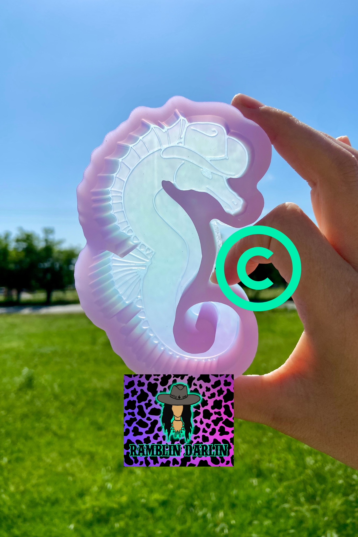 Cowboy Seahorse Mold ©️