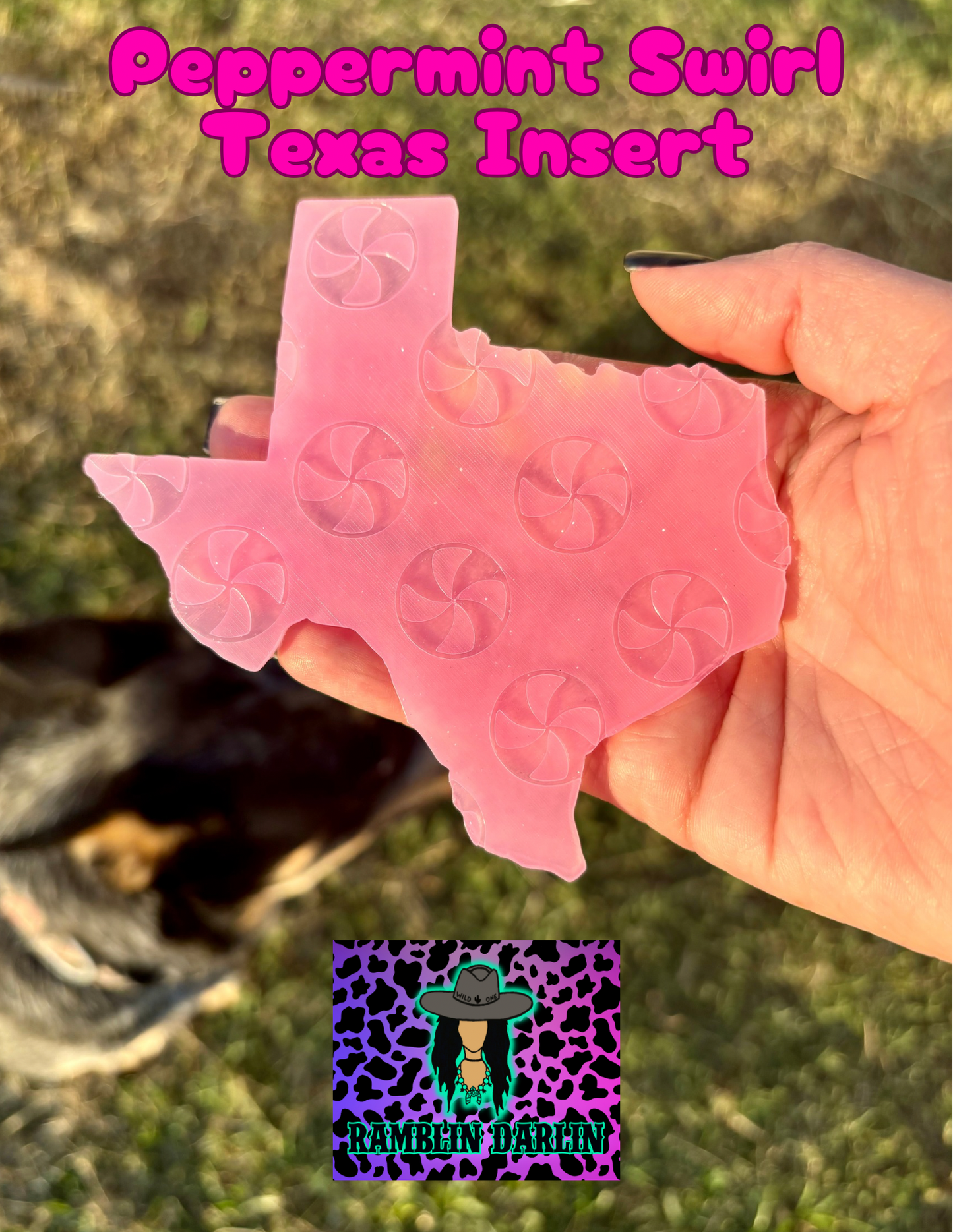 Plain Texas Insert Mold