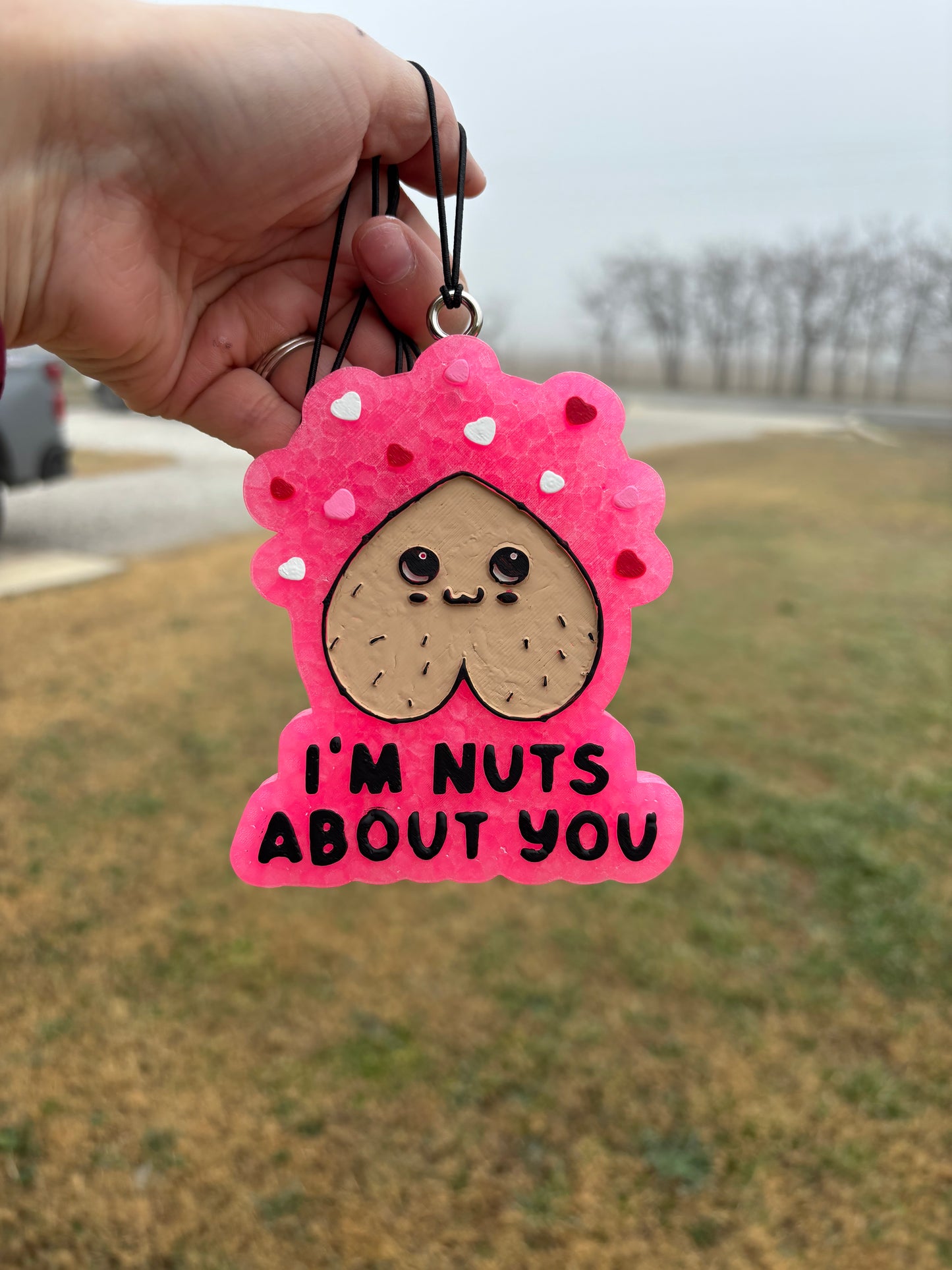 Nuts About You Mold
