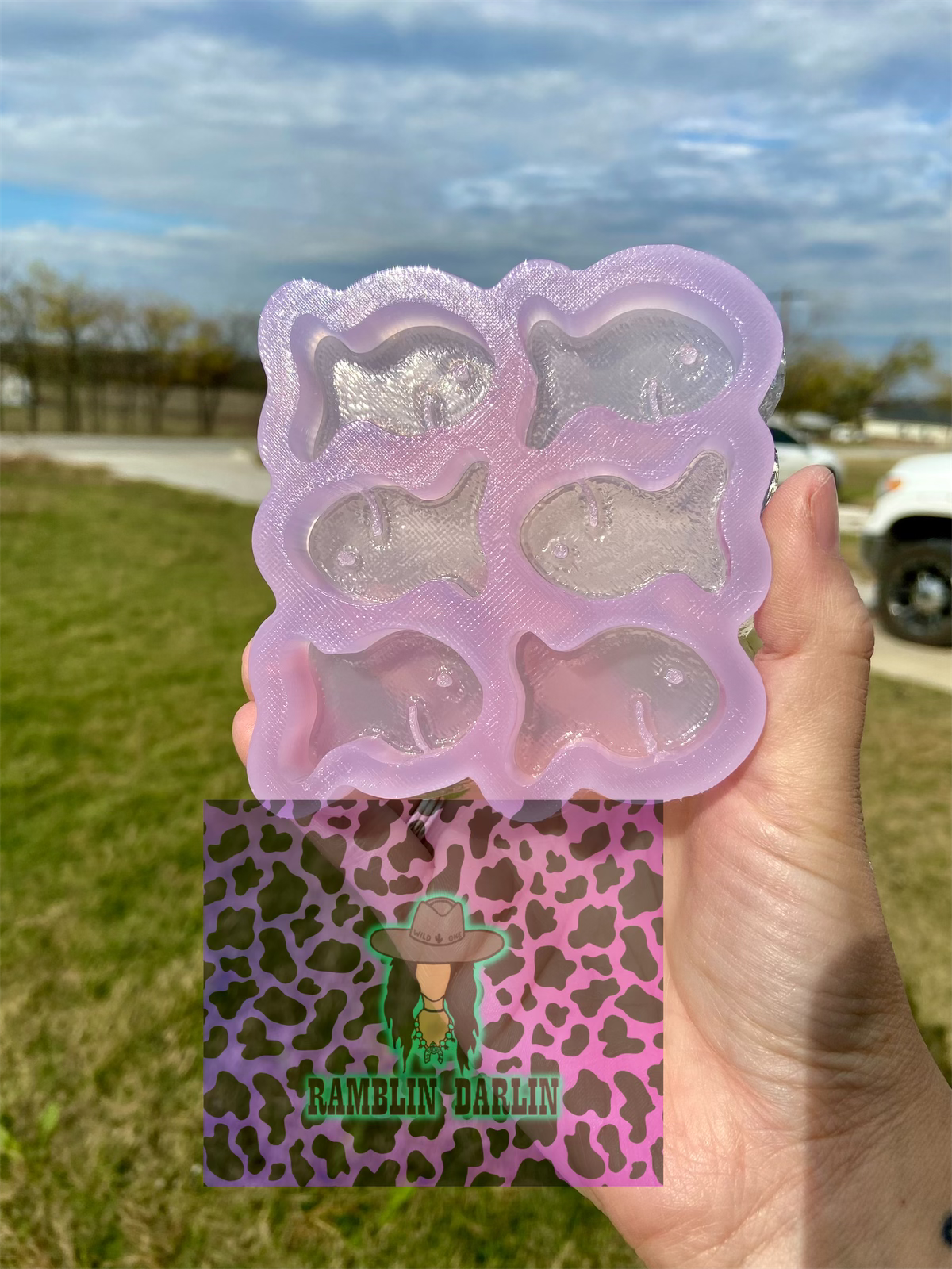 Goldfish Wax Melt Mold