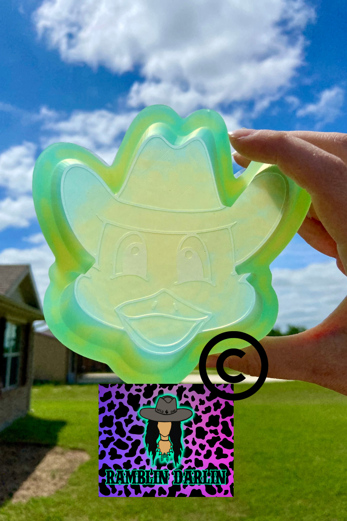 Cowboy Duck Mold ©️