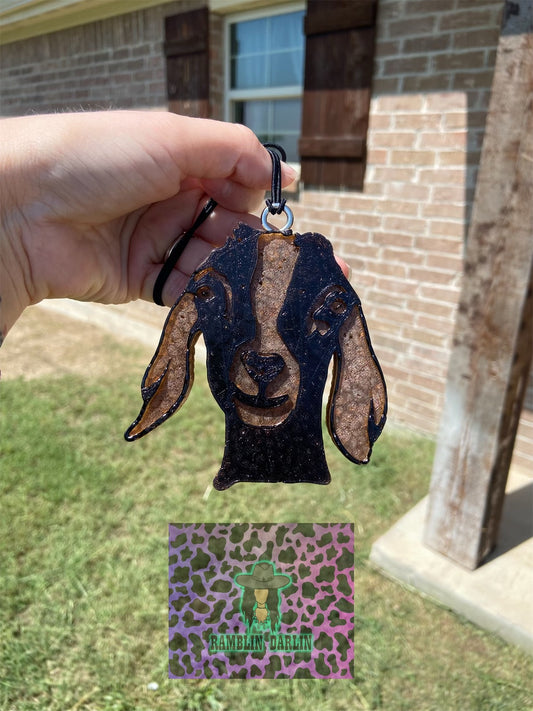 Long eared Goat Mold