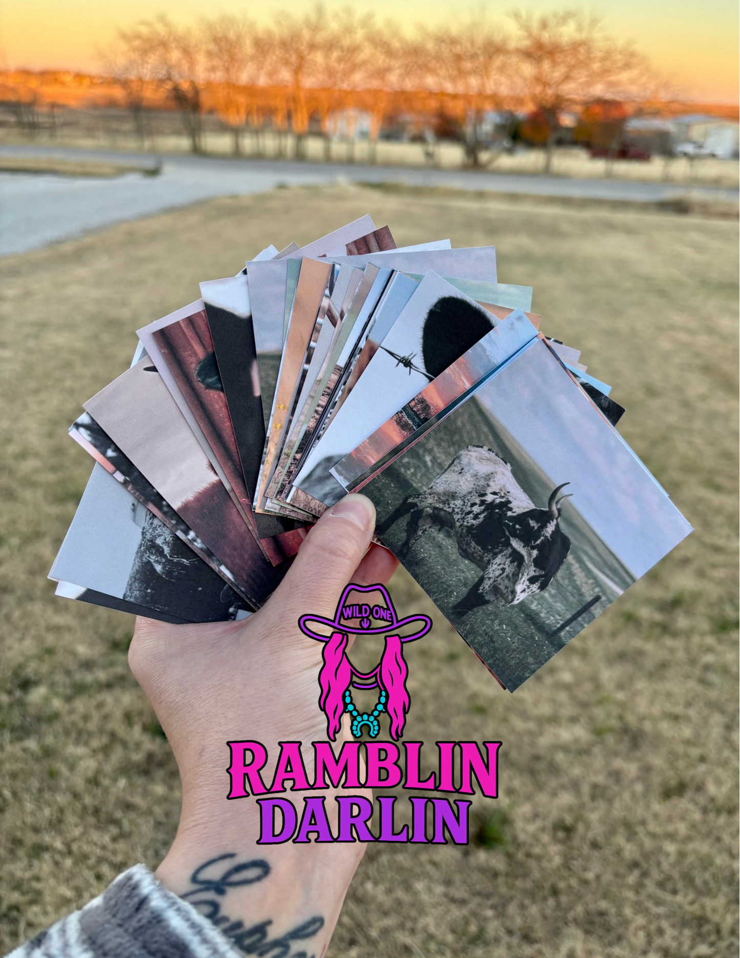 Square Cardstock (10pk)