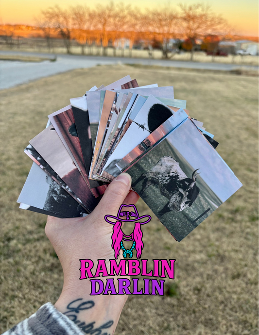 Square Cardstock (10pk)