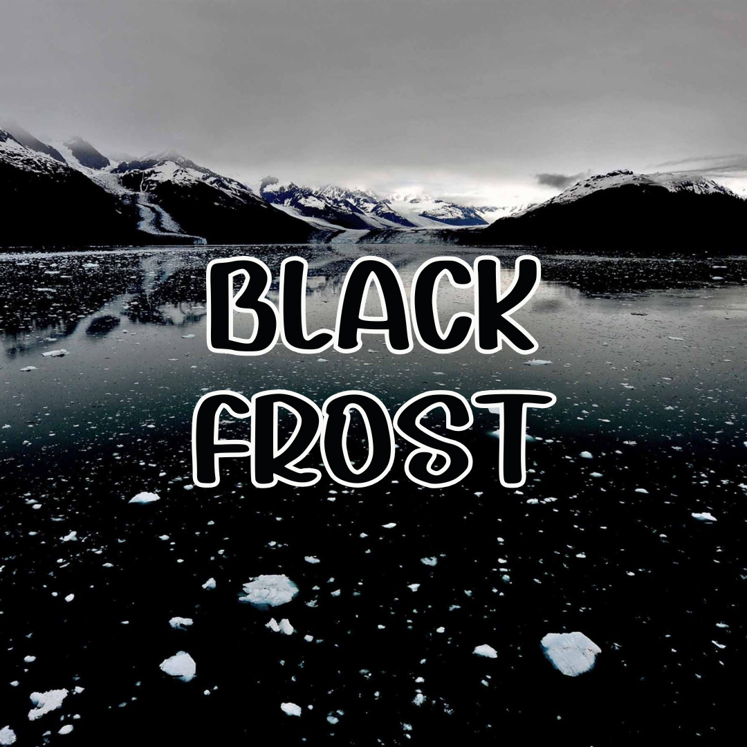 Black Frost Scented Beads 8 ounces