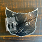 Cat Face Mold